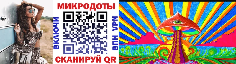Галлюциногенные грибы Psilocybe  Калач-на-Дону 